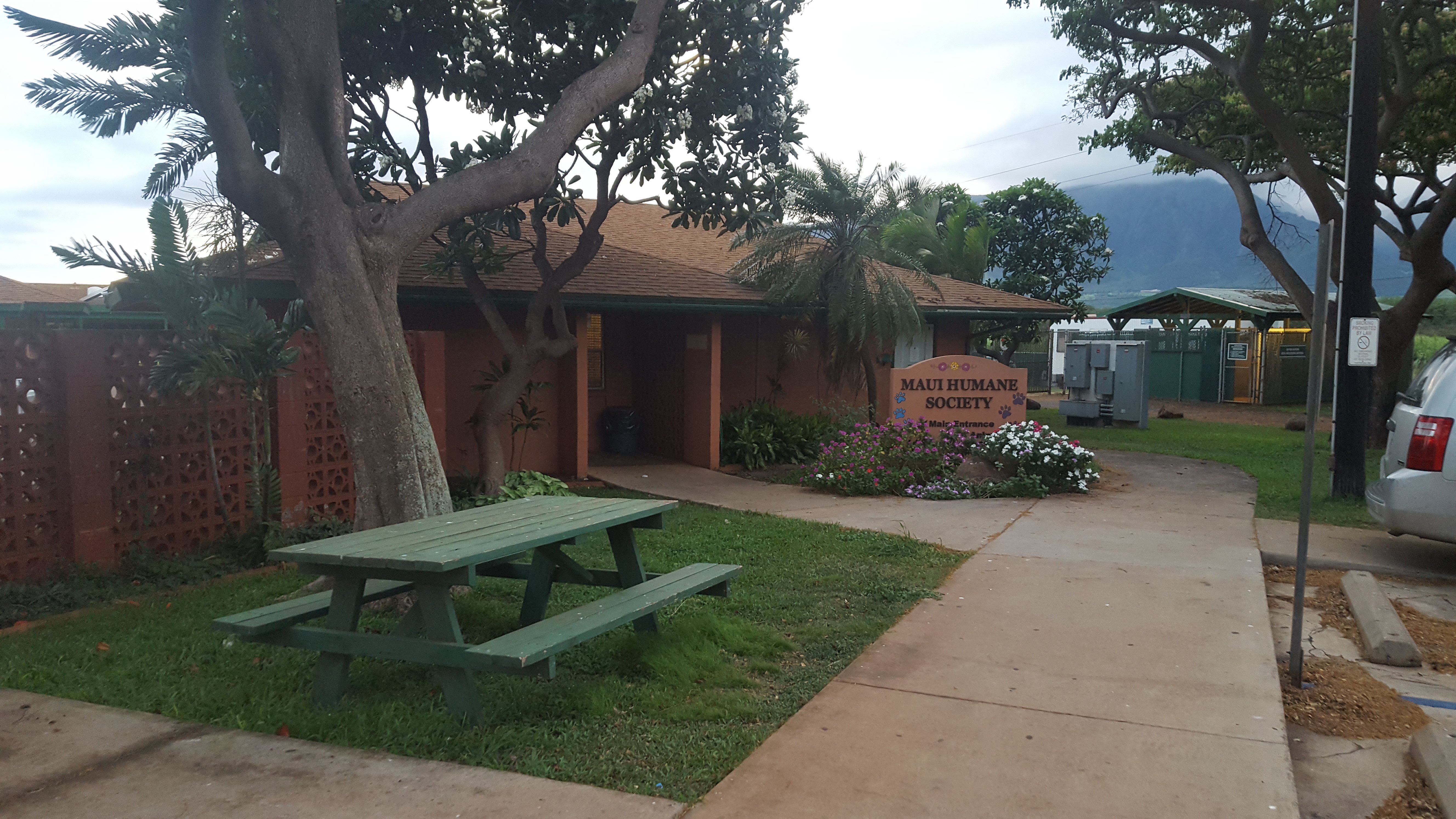 do-it-all-commercial-cleaning-cleaning-technicians-maui-hi